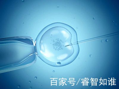 试管借卵代怀机构